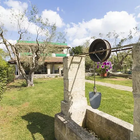 Agriturismo L'aia Vignacastrisi