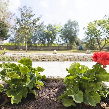 Agriturismo L'aia Vignacastrisi